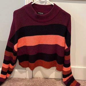 Express Cropped Sweater